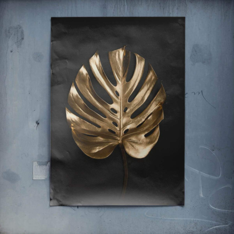 Monstera Dorada Póster