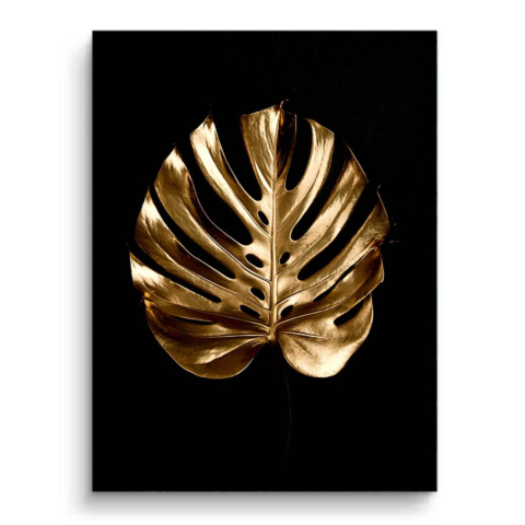 Monstera Dorada PVC Mate