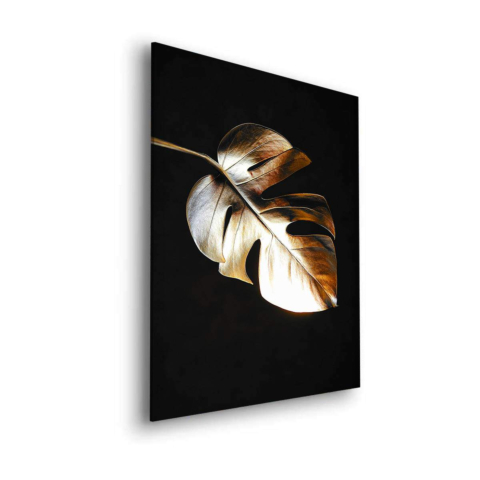 Monstera Arte Cuadro sobre Dibond Mate