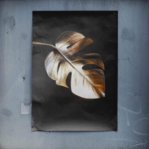 Monstera Póster
