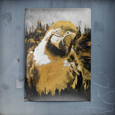 Guacamayo Dorado Póster